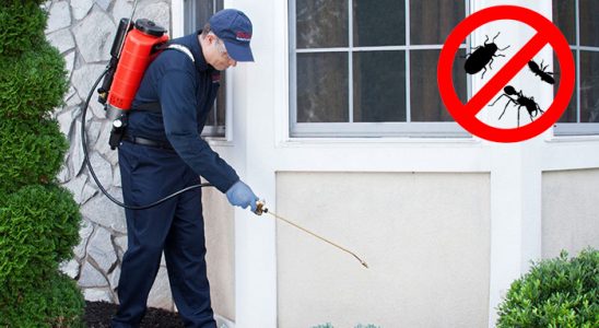 Mutki Hamam Böceği İlaçlama böcek ilaçlama ve haşere kontrolü — ilaclama-tr.com